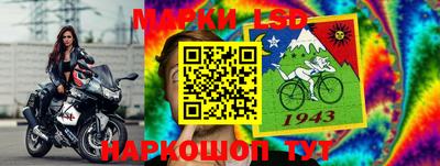мет Кингисепп