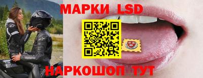 мет Кингисепп