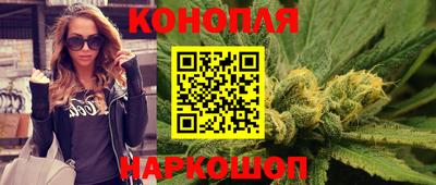 мет Кингисепп