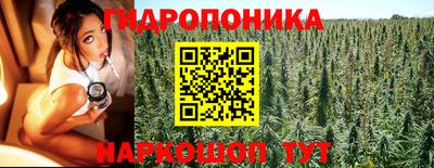мет Кингисепп