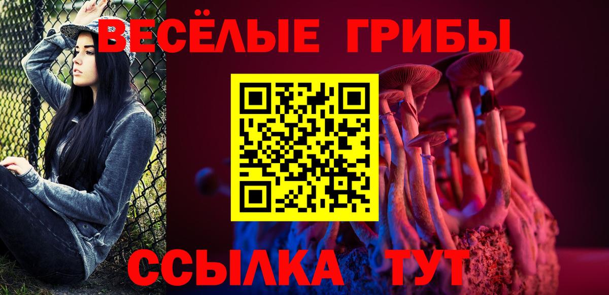 Галлюциногенные грибы MAGIC MUSHROOMS  Вход с VPN  что такое   Чита 