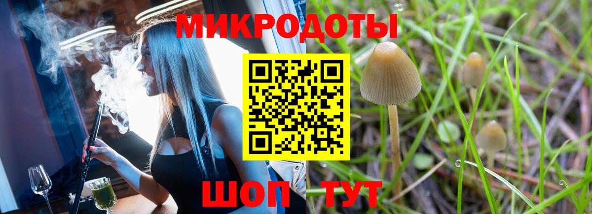 Псилоцибиновые грибы Psilocybine cubensis Чита