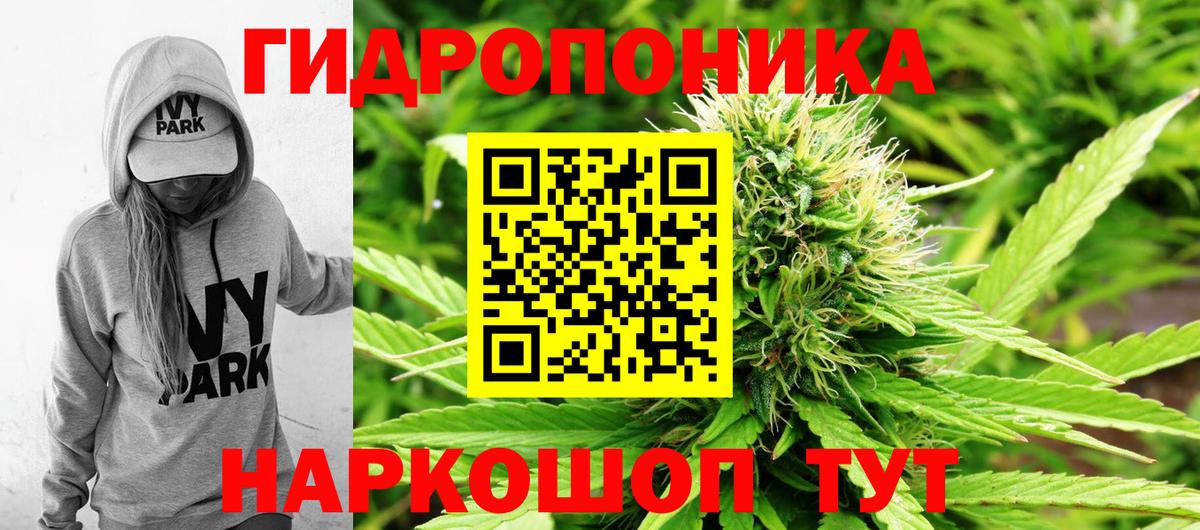 Конопля конопля  Вход с VPN  Канабис ГИДРОПОН  Чита  Шишки марихуана OG Kush 